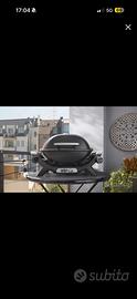 Weber q1100n