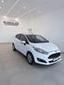 ford-fiesta-1-5-tdci-75cv-5-porte-business