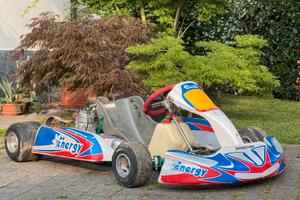 Go kart unico??