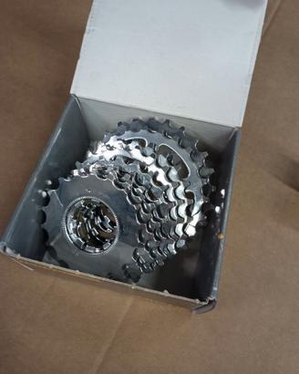 Pacco pignoni Miche Junior 9V