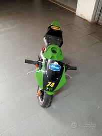 Minimoto PS50 ROCKET SPORT