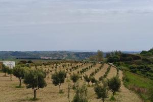 Terreno Soveria Simeri