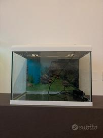 Acquario e Filtro