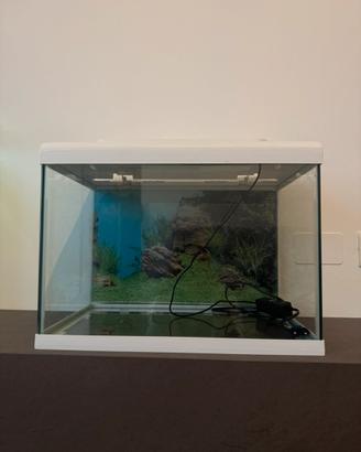 Acquario e Filtro