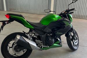 Kawasaki Z 300