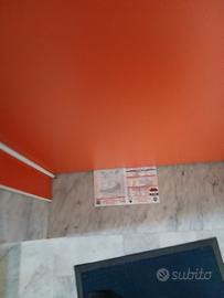 Genny adetto volantinaggio disp.imm