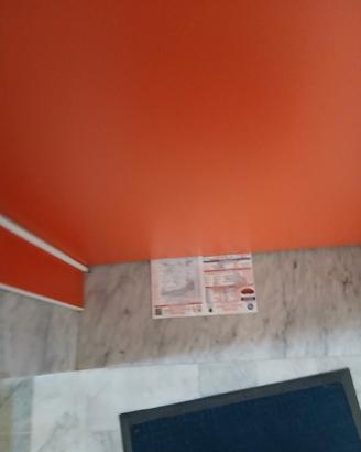 Genny adetto volantinaggio disp.imm