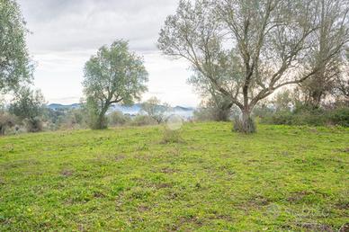 TER. AGRICOLO A SACROFANO