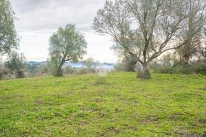 TER. AGRICOLO A SACROFANO