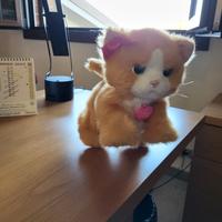 Gattino Peluche Daisy