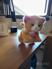 Gattino Peluche Daisy