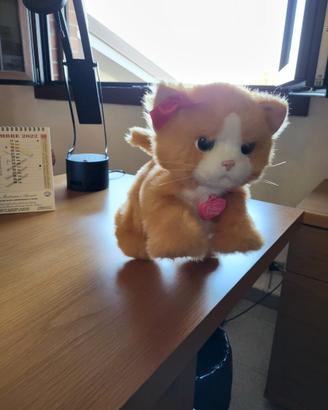 Gattino Peluche Daisy