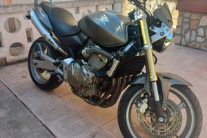 Honda Hornet
