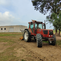 Lavori con Trincia forestale