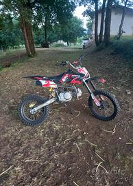 pit bike 125 4 tempi
