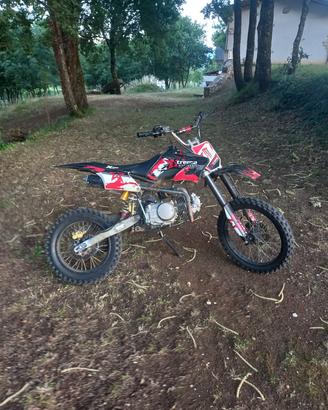 pit bike 125 4 tempi