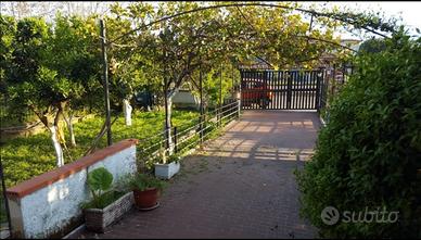 Casa al mare policastro capitello 100mt dal mare