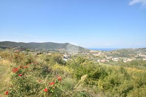 TER. AGRICOLO A AGROPOLI