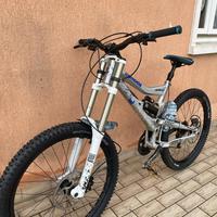 Downhill mongoose