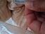 Immagine 2