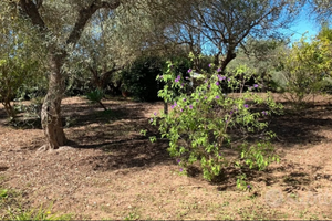 Terreno edif zona Sa Rodia prol via Cairoli