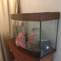 acquario juwel e attrezzatura per tartarughe 