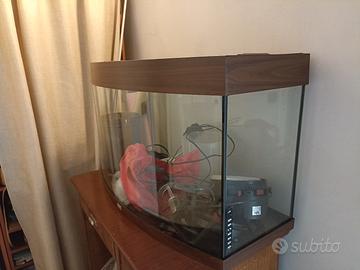 acquario juwel e attrezzatura per tartarughe 