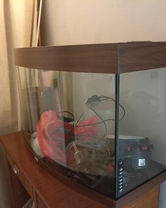acquario juwel e attrezzatura per tartarughe 