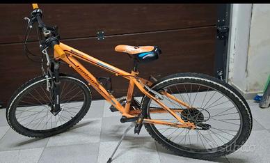 bici Lombardo 24"