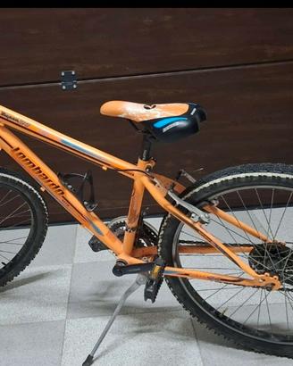 bici Lombardo 24"
