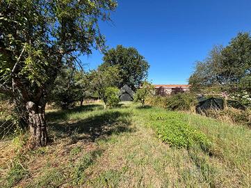 TER. AGRICOLO A BOMARZO