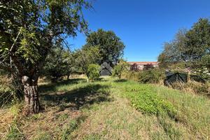 TER. AGRICOLO A BOMARZO