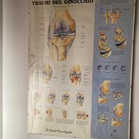 Stampe per studio medico