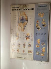 Stampe per studio medico