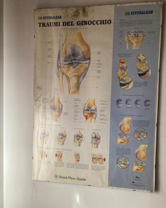 Stampe per studio medico