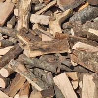 legna da ardere per stufa e camino 