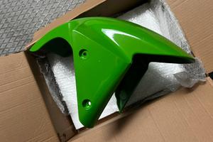 Paragango anteriore Ninja 2003 2004