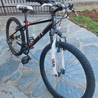 Bicicletta