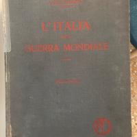 Italia nella prima guerra mondiale