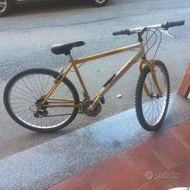 bici montabike 