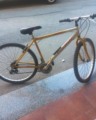 bici montabike 