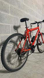 Bicicletta Coca Cola