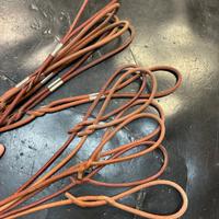 SET di Guinzagli e Collari per Cani