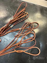 SET di Guinzagli e Collari per Cani