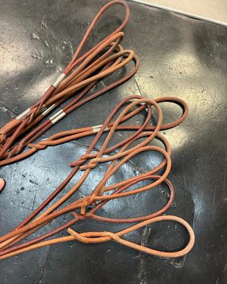 SET di Guinzagli e Collari per Cani