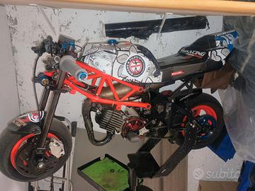 Minimoto Giracing