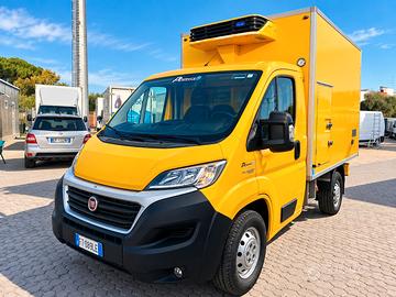 Fiat Ducato 2.3 Multijet 130 CV Automatico Isoterm