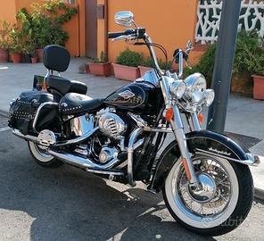 Harley Dadvison