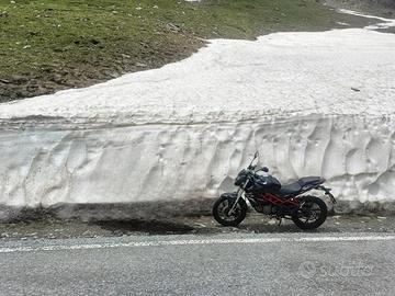 Benelli bn 125 del 2021