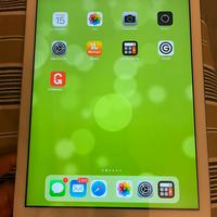 Ipad Air 16 GB - versione 12.5.7